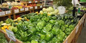 Wisconsin grown green peppers and cucumbers.